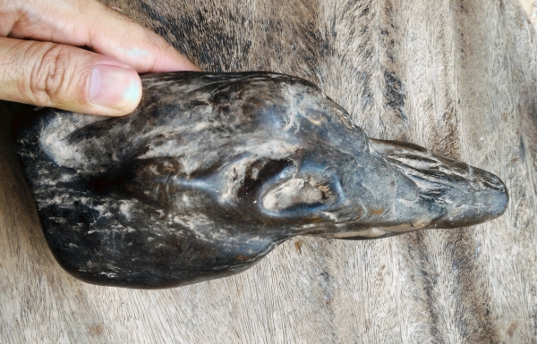 ไม้กลายเป็นหิน ยุคโบราณสุดๆ หนักพอสมควร ลวดลายไม้เดิมๆ ธรรมชาติสร้างสรรค์ มีเม็ดแร่ฝังอยู่หนึ่งเม็ดเกิดขึ้นเอง สวยแปลกน่าสะสม