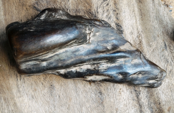 ไม้กลายเป็นหิน ยุคโบราณสุดๆ หนักพอสมควร ลวดลายไม้เดิมๆ ธรรมชาติสร้างสรรค์ มีเม็ดแร่ฝังอยู่หนึ่งเม็ดเกิดขึ้นเอง สวยแปลกน่าสะสม