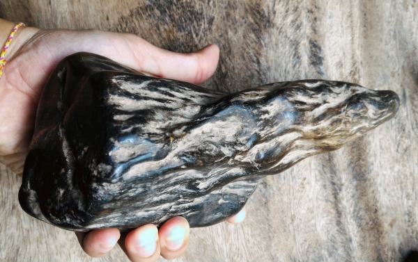 ไม้กลายเป็นหิน ยุคโบราณสุดๆ หนักพอสมควร ลวดลายไม้เดิมๆ ธรรมชาติสร้างสรรค์ มีเม็ดแร่ฝังอยู่หนึ่งเม็ดเกิดขึ้นเอง สวยแปลกน่าสะสม