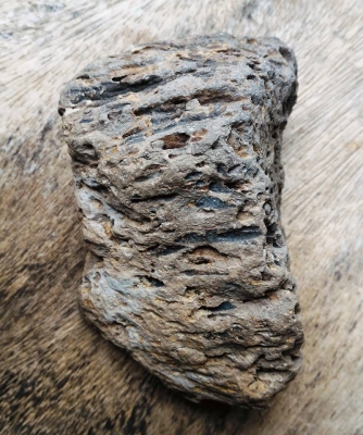 ไม้กลายเป็นหิน 1 ชิ้นขนาดกลาง ยุคเก่าโบราณ ควรค่าในการเก็บสะสม