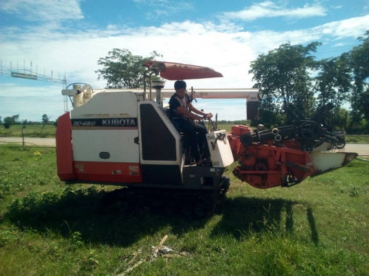ขายรถเกี่ยวข้าว KUBOTA DC68G ปี54 รถสวยสภาพดี พร้อมใช้งาน เอกสารพร้อมโอน ราคา350,000 สนใจโทร 090-8588220คุณนะ 093-3258446คุณบิว หรือเข้าดูสินค้าอื่นๆได้ที่ www.narong2truck.com หรือ www.truck.in.th/498 หรือเพจFacebook ณรงค์ ซื้อขายรถมือสอง (เว็บไซต์ส่วนตั