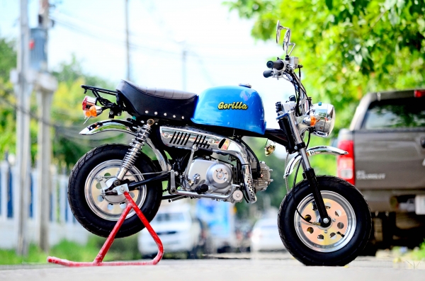 โปรโมชั่นใหม่ที่แสนจะพิเศษ ลดราคาพิเศษ มังกี้ กอลิล่า เดิม!!+สีสันโดนใจ จัดโปรลดพิเศษ ราคาเริ่มที่..