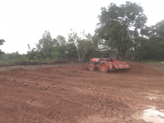 ขายรถไถคูโบต้า L45DI