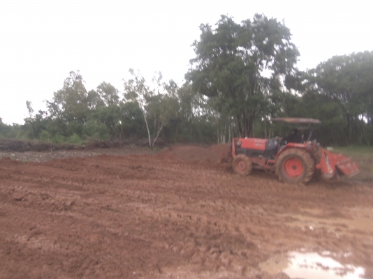 ขายรถไถคูโบต้า L45DI ขายรถไถคูโบต้า L45DI