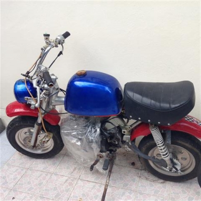 ขายกอลิล่า มีทะเบียน ตามสภาพ 10000 ยกไป