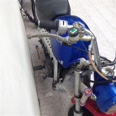 ขายกอลิล่า มีทะเบียน ตามสภาพ 10000 ยกไป