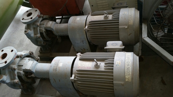 ขายปั๊มน้ำแรงดันสูง 7.5 แรง