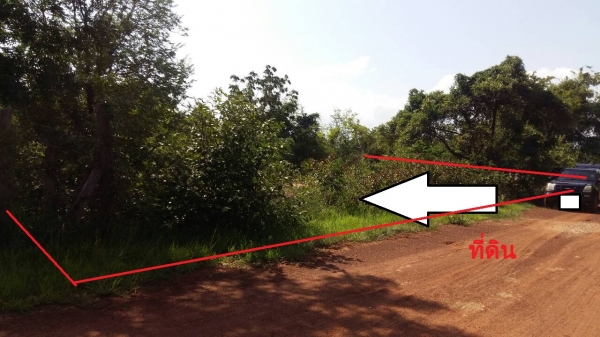 ขายที่ดินใน อ.ตาพระยา จ.สระแก้ว ขายที่ดินใน อ.ตาพระยา จ.สระแก้ว