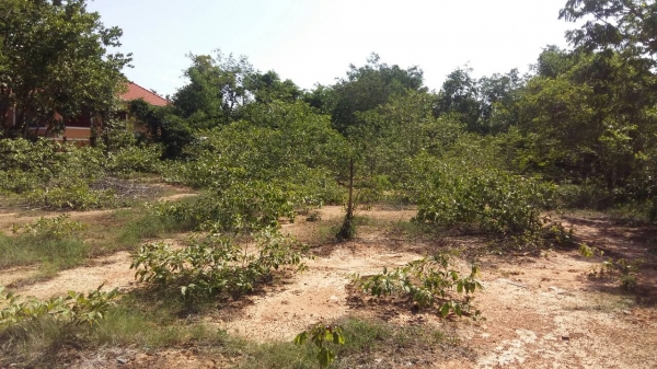 ขายที่ดินใน อ.ตาพระยา จ.สระแก้ว ขายที่ดินใน อ.ตาพระยา จ.สระแก้ว