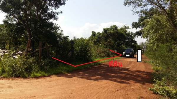 ขายที่ดินใน อ.ตาพระยา จ.สระแก้ว ขายที่ดินใน อ.ตาพระยา จ.สระแก้ว