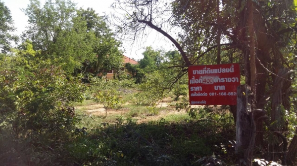 ขายที่ดินใน อ.ตาพระยา จ.สระแก้ว ขายที่ดินใน อ.ตาพระยา จ.สระแก้ว