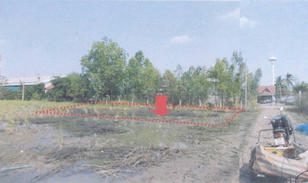 ขายที่ดินเปล่า ที่เอาเภอหนองกี่ บุรีรัมย์