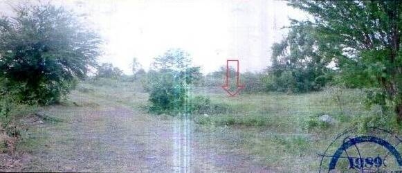 ขายที่ดินเปล่า ที่เอาเภอหนองกี่ บุรีรัมย์ ขายที่ดินเปล่า ที่เอาเภอหนองกี่ บุรีรัมย์