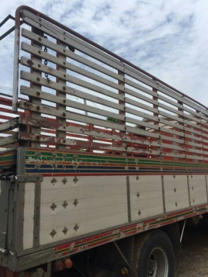 หกล้อเดกก้า 195