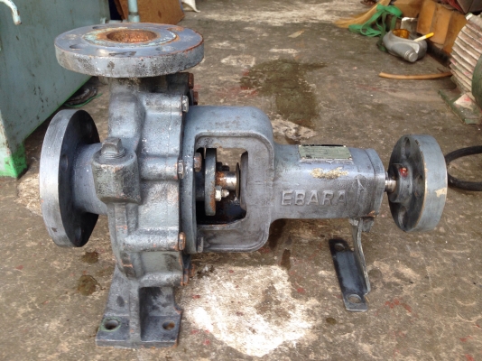 ขายหัวปั้มน้ำหอยโข่ง Ebara 65x50FSH ใบพัดทองเหลือง ขนาดเข้า 2.5นิ้ว ออก 2นิ้ว สภาพสวย หมุนนิ่ม พร้อมใช้งาน ขายหัวปั้มน้ำหอยโข่ง Ebara 65x50FSH ใบพัดทองเหลือง ขนาดเข้า 2.5นิ้ว ออก 2นิ้ว สภาพสวย หมุนนิ่ม พร้อมใช้งาน