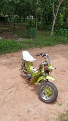 Honda ชาลี