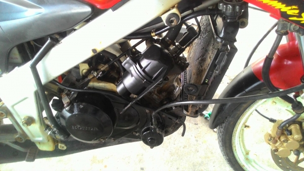 Ls 125 D ตัวสุดท้ายของ Ls Ls 125 D ตัวสุดท้ายของ Ls