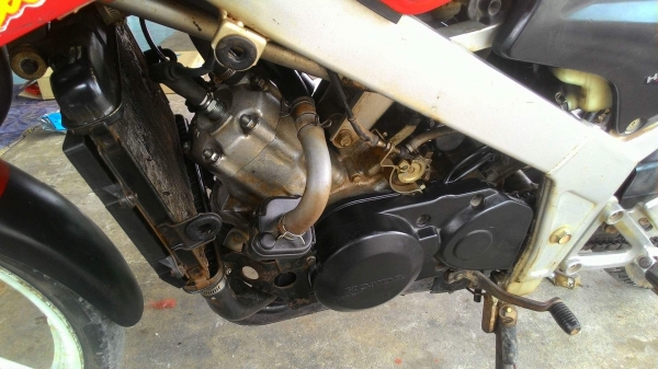 Ls 125 D ตัวสุดท้ายของ Ls Ls 125 D ตัวสุดท้ายของ Ls