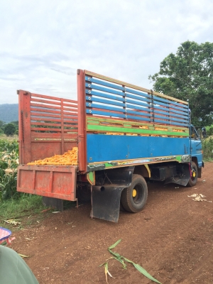 NPR115ดั้ม กะบะเหล็กคอกเกษตร. ช่วงล่างเอฟ พวงมาลัยพาวเวอร์