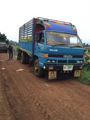 NPR115ดั้ม กะบะเหล็กคอกเกษตร. ช่วงล่างเอฟ พวงมาลัยพาวเวอร์