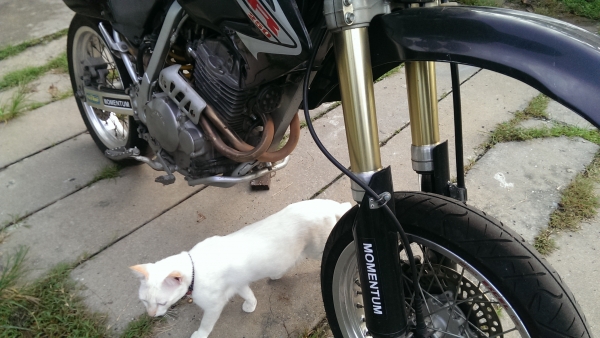 ฮอนด้า xr250 ปี2004สภาพเดิมเครื่องกิ้ฟๆครับพร้อมลุย