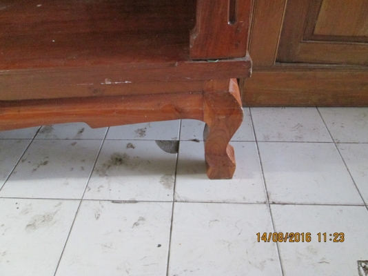 ขาบตั่งครับ สภาพสวยแข็งแรงครับ สนใจ 081-585-6957 ขาบตั่งครับ สภาพสวยแข็งแรงครับ สนใจ 081-585-6957