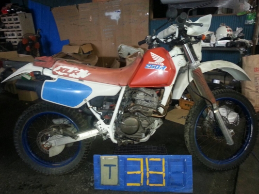 ขาย honda xlr250 เก่าญี่ปุ่น