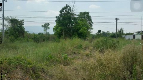 ขายที่ดินถมแล้วติดถนนใหญ่สายหลัก230ตารางวาขาย890000 ขายที่ดินถมแล้วติดถนนใหญ่สายหลัก230ตารางวาขาย890000