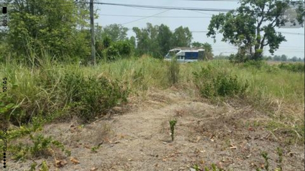 ขายที่ดินถมแล้วติดถนนใหญ่สายหลัก230ตารางวาขาย890000 ขายที่ดินถมแล้วติดถนนใหญ่สายหลัก230ตารางวาขาย890000