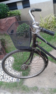 จักรยาน humber จักรยาน humber