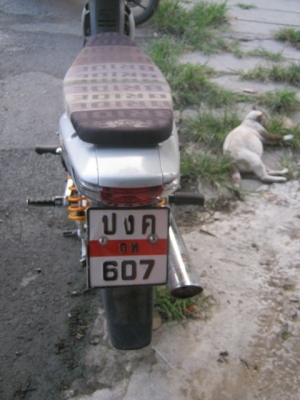 ขาย HONDA WAVE 100 S ขาย HONDA WAVE 100 S