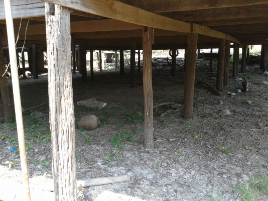 ขายบ้านไม้ ทรงไทย ขายเฉพาะบ้าน ขายบ้านไม้ ทรงไทย ขายเฉพาะบ้าน