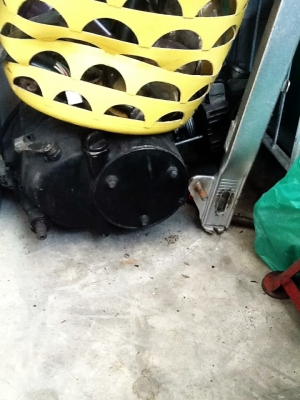 ขาย monkey 2คัน กับของแถมอีกสุดคุ้ม