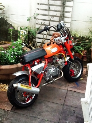 ขาย monkey 2คัน กับของแถมอีกสุดคุ้ม