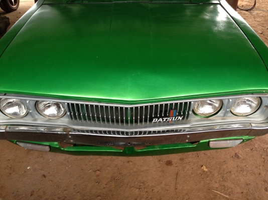 ขายดัสสัน ช้างเหยียบ ขายดัสสัน ช้างเหยียบ