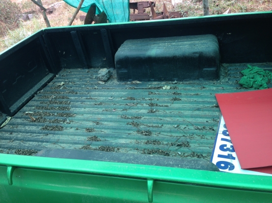 ขายดัสสัน ช้างเหยียบ ขายดัสสัน ช้างเหยียบ