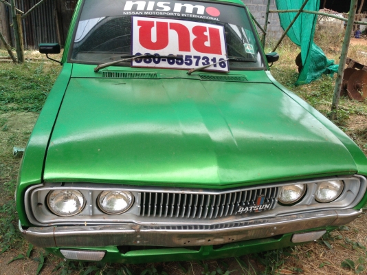 ขายดัสสัน ช้างเหยียบ