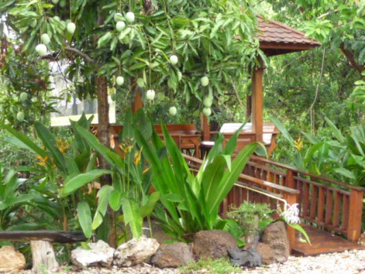 ขายบ้านไม้สักพร้อมที่ดิน