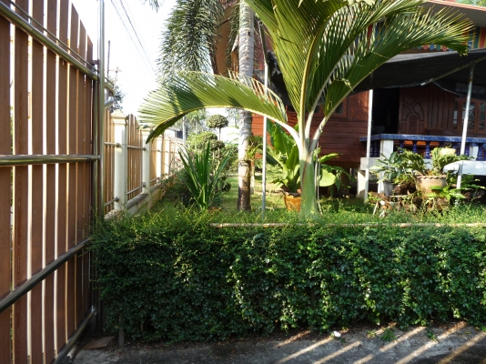 ขายบ้านไม้สักพร้อมที่ดิน