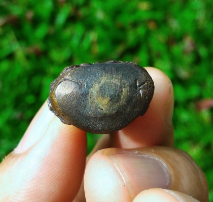 หลวงปู่สรวง ออยเตียนสลูน พระกริ่งชัยวรมัน ตอกโค๊ดอุดกริ่ง เนื้อสัตตะโลหะ พระหิ้งได้จากญาติๆ ที่ไปทำบุญที่วัดท่าน