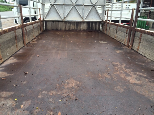 ขาย6ล้อISUZU NKR120แรงฝาขาว หัวการ์ตูน ป้ายเล็กไม่ติดเวลา