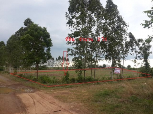 ที่ดินเปล่า ด่วนๆๆ ที่ดินเปล่า ด่วนๆๆ