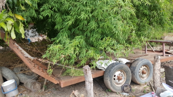 ด่วนๆ!!!.. Kubota Dc60plus ปี53สภาพเยี่ยมๆ!!#พร้อมพ่วงลากราคา269,000 บาท ด่วนๆ!!!.. Kubota Dc60plus ปี53สภาพเยี่ยมๆ!!#พร้อมพ่วงลากราคา269,000 บาท