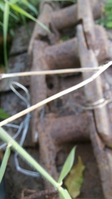 ขายโซ่รถแทรกเตอร์ D-4-H ตีนไก่ โซ่แท้ เบอร์โก้ บู๊ชนํ้ามัน   สภาพสวยลิงค์หนาบู๊ชกลมแผ่นตามสภาพขายไม่แพงครับ