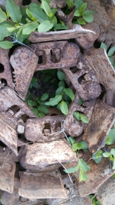 ขายโซ่รถแทรกเตอร์ D-4-H ตีนไก่ โซ่แท้ เบอร์โก้ บู๊ชนํ้ามัน   สภาพสวยลิงค์หนาบู๊ชกลมแผ่นตามสภาพขายไม่แพงครับ