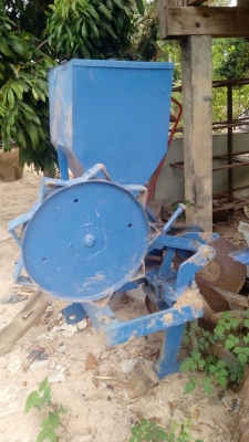 ขายลิปเปอร์ใส่ปุ๋ย ขายลิปเปอร์ใส่ปุ๋ย