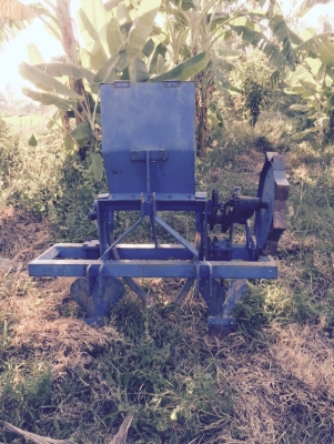 ขายลิปเปอร์ใส่ปุ๋ย ขายลิปเปอร์ใส่ปุ๋ย