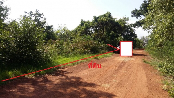 ขายที่ดินใน อ.ตาพระยา จ.สระแก้ว  ด่วนๆ