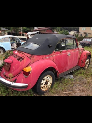 เต่าซุปเปอร์สตาร์เปิดประทุนตัดครึ่งจากนอก