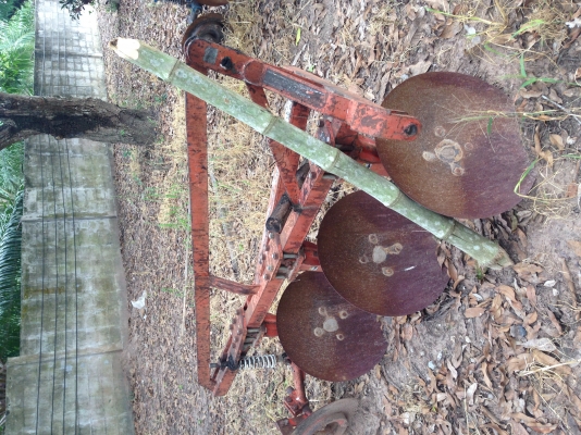 ขายแล้ว